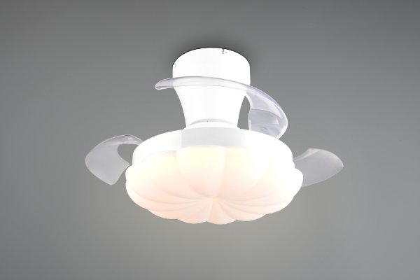 BORAS – R69542131