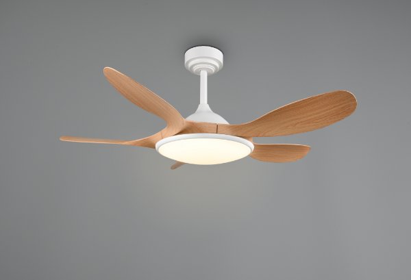 FLEN – R69682130
