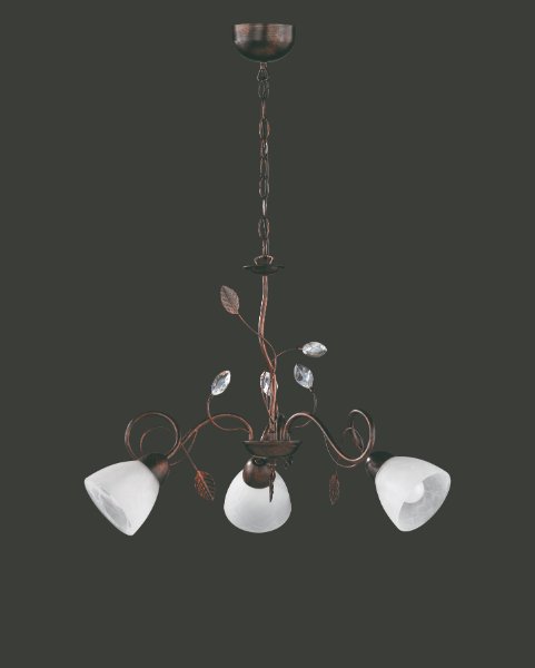 TRADITIO – 110700328