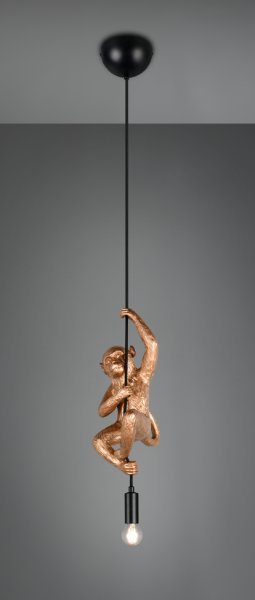 FIPS – R36551079