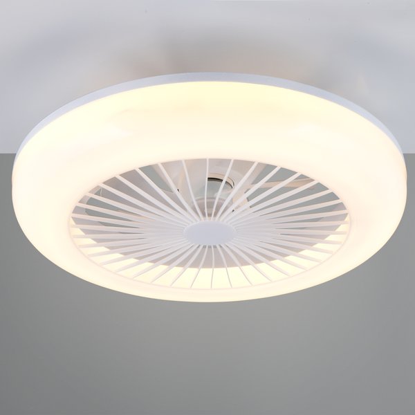 MORA – R64032101